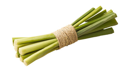 Fresh bunch of green onions tied with natural twine, white isolate background