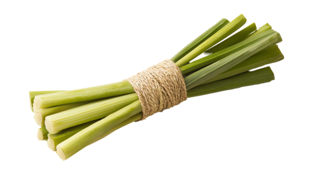 Fresh bunch of green onions tied with natural twine, white isolate background