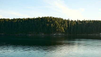 Serene forest and lake landscape