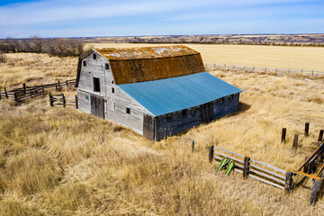 A large, old barn sits in a field of tall grass