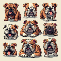 Bulldog Breed Illustration vector Set