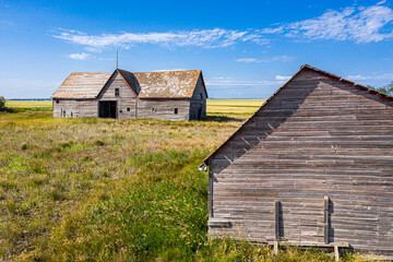 Obraz premium A couple of old barns sit in a field with a blue sky in the background
