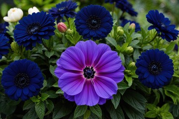 Vibrant Navy Flower Closeup for Spring and Summer Floral Decor