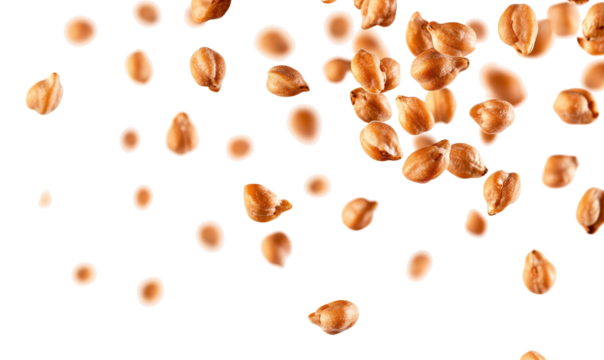 Kabuli Chickpeas Cicer on transparent background