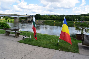 Bulgarian and Romanian flag, with a goose
