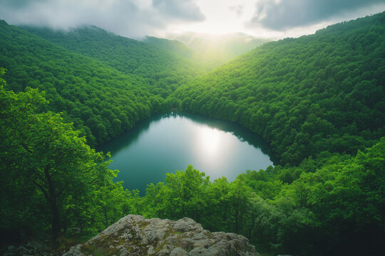 Serene Lake View: Forest Oasis Seen from a Mountain Slope