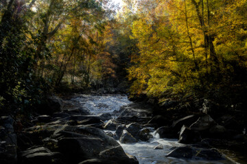A serene woodland scene features a clear stream flowing over rocks, surrounded by trees with vibrant autumn foliage. Sunlight filters through the leaves, casting a warm glow on the water and rocks.