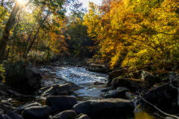 Sunlight filters through the trees, casting a warm glow over a gentle stream surrounded by rocks and autumn foliage. The vibrant colors of the leaves create 