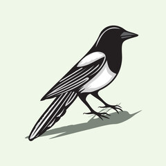 Bold Black amp White Magpie Vector Art