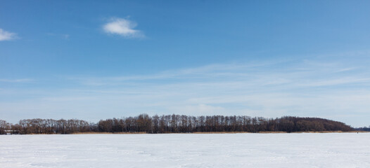 A snowy field with a few trees in the background