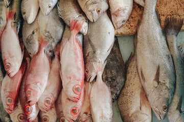 A pile of fresh snapper and gourami fish on a table for sale in the market.