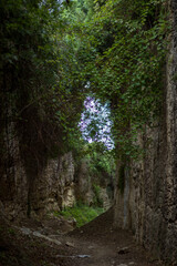 Obraz premium A rocky arch in the forest