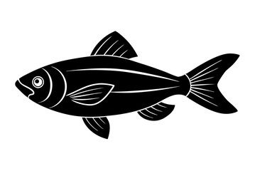 fish on a white background