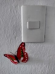 butterfly on a switch