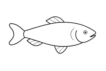 illustration of a fish
