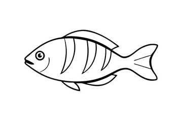 fish illustration
