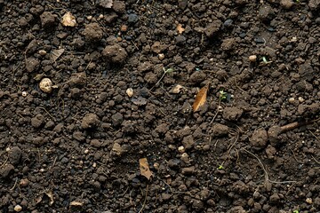 Top view of dry soil with scattered rocks, clumps, and organic debris. Natural earthy texture ideal for environmental or agricultural themes.
