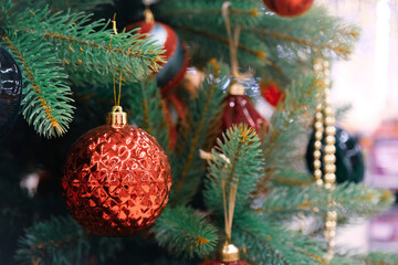 Christmas tree and Christmas decorations