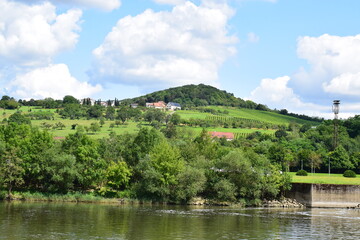 vineyards above the Mosel near Schengen