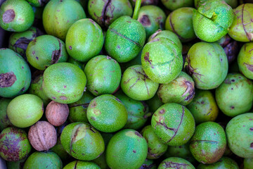 Walnuts. Lots of walnuts in the peel, fresh off the tree. Harvest