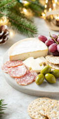 Christmas or New Year holiday charcuterie platter with cheeses, salami, grapes, olives on board, festive background, copy space