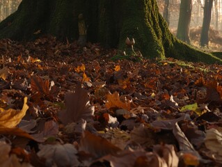 Obraz premium Autumnal Forest Floor: A Tapestry of Fallen Leaves Under a Moss-Covered Tree Trunk