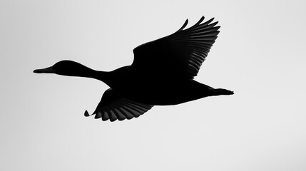 Obraz premium A striking silhouette of a bird in mid-flight is captured against a plain gray backdrop, highlighting the elegance and freedom of flight with simplicity.