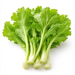 Macro Shot of Fresh Asian Mustard Greens on Clean White Background