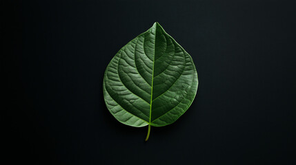 Obraz premium A single green leaf firmly placed on a dark, minimalist background, creating a contrast that highlights nature's simplicity and organic beauty in photography style.