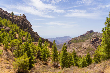 El Fraile en el Roque Nublo, (Tejera, Gran Canaria,España)