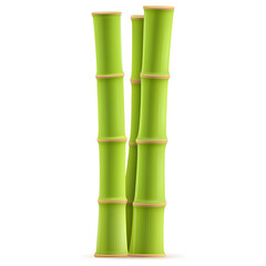 Obraz premium Three tall green bamboo stalks standing upright in a bright and natural setting