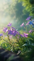 Fototapeta premium close-up shot of creeping phlox with green environment