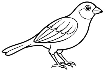 Fototapeta premium Bird, vector, animal, illustration