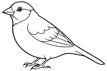 Obraz premium Bird, vector, animal, illustration