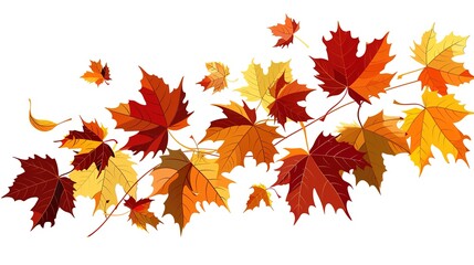 Maple Leaf Autumn Isolated on White Background - A Captivating Symbol of the Season's Beauty. The Vibrant Maple Leaf, with Its Intricate Veins and Rich Autumn Colors, Standing Alone Against the Purity