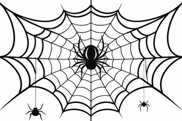 Fototapeta premium Spider, Halloween, animal