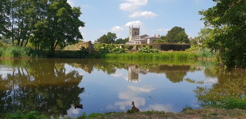 A view across a pond 