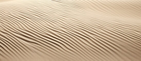Obraz premium patterns of wavy lines on beige sandy surface creating a natural textured background for design or photography projects