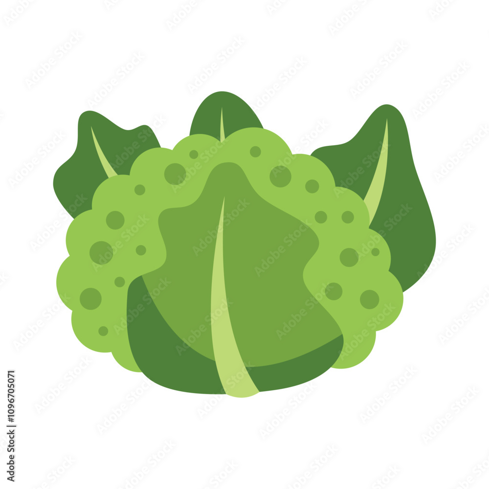 Canvas Prints This vector illustration features a head of fresh romanesco broccoli, perfect for promoting healthy eating and organic produce