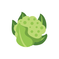 Simple vector illustration of a cartoon cauliflower surrounded by leaves, isolated on a white background
