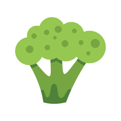 Green broccoli with large florets growing upwards, isolated on white background