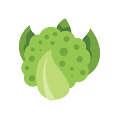 Simple vector illustration of a head of broccoli with leaves, isolated on a white background