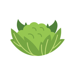 Simple vector illustration of a cauliflower surrounded by leaves, isolated on white background