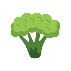 This illustration features a bright green broccoli, emphasizing its freshness and health benefits