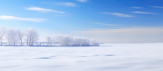 Obraz premium Serene winter landscape showcasing snow-covered fields and a clear blue sky with distant trees creating a peaceful ambiance.