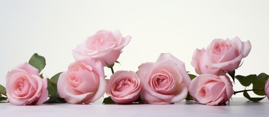 Delicate bouquet of soft pink roses gracefully arranged on a minimalist white background showcasing elegance and beauty in floral design.
