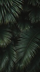 Tropical palm leaves creating a dark and lush nature background, exotic, jungle