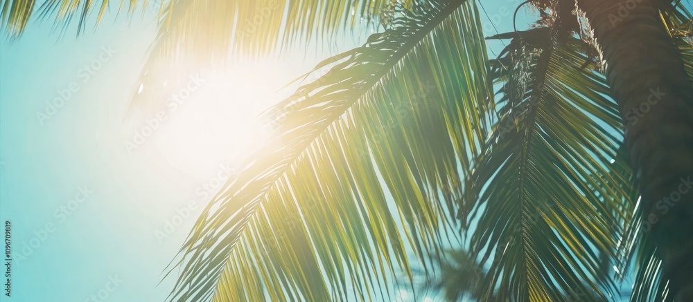 Poster sunlight filtering through palm tree leaves creating a tropical ambiance in a serene nature setting