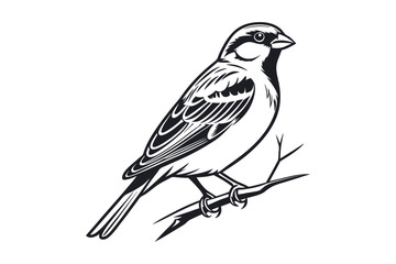 Detailed of sparrow bird black and white silhouette vector illustration