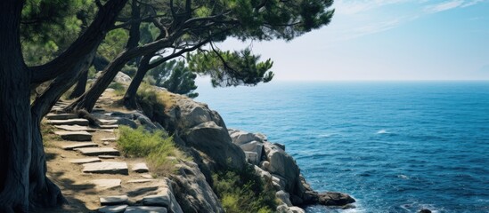 Scenic coastal path lined with trees overlooking azure ocean waves and rocky shoreline under a clear blue sky